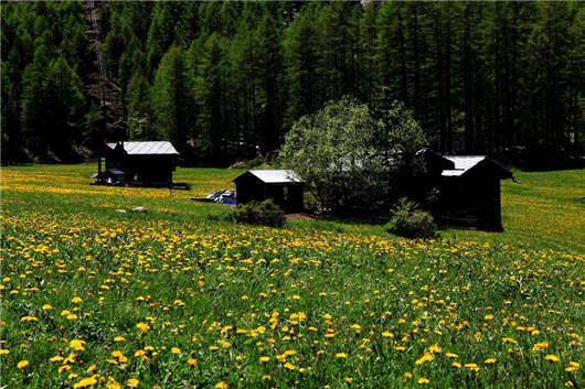 高含量文憑,優(yōu)秀教育體制,德國留學(xué)為您帶來不一樣的體驗(yàn)! 高含量文憑,優(yōu)秀教育體制,德國留學(xué)為您帶來不一樣的體驗(yàn)!