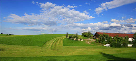 德國車輛的不同，卻深受國內人民喜愛（上）