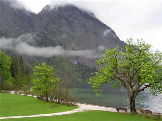 移民德國成為公民之后您都有哪些權利可享(一) 移民德國成為公民之后您都有哪些權利可享(一)