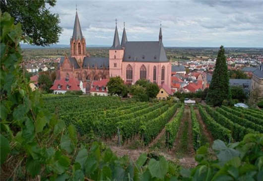 德國女性產假和工作保護 德國女性產假和工作保護