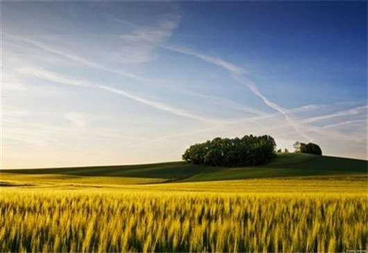 柏林的房屋建筑數量正在上升,房產投資刻不容緩 柏林的房屋建筑數量正在上升,房產投資刻不容緩