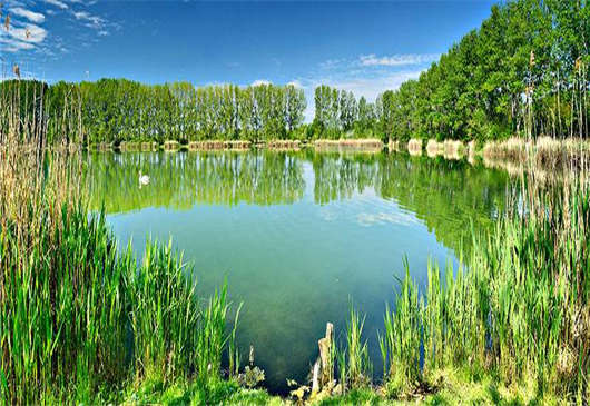 經(jīng)濟是基于什么發(fā)展過來的 經(jīng)濟是基于什么發(fā)展過來的