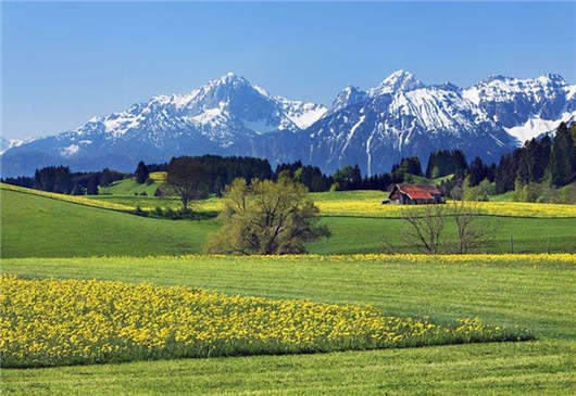 1571194066690875.jpg 107.jpg