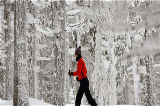 留學德國畢業(yè)難,解決這些您就可以成功! 留學德國畢業(yè)難,解決這些您就可以成功!