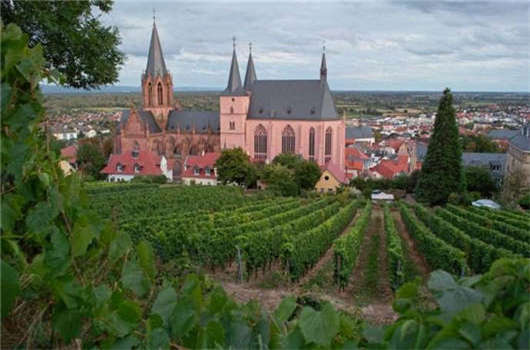 入籍優劣對比,您一定要了解一下! 入籍優劣對比,您一定要了解一下!