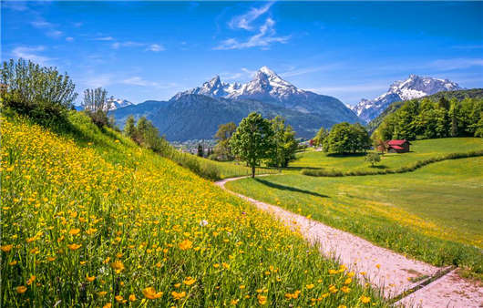 德國教育解讀,備受歡迎的德國學校 德國教育解讀,備受歡迎的德國學校