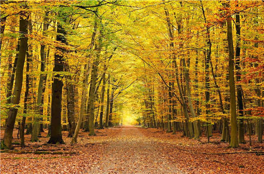 德國<a style='color:#268bd1;cursor:pointer;' href='/frqz.html'>法人簽證</a>適宜人群分析,看看您是否適合這個國家那? 德國法人簽證適宜人群分析,看看您是否適合這個國家那?