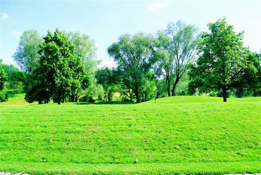 德國移民入籍指南,條件及相關(guān)文件介紹! 德國移民入籍指南,條件及相關(guān)文件介紹!