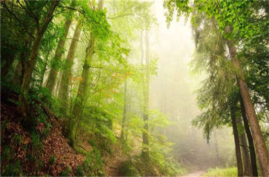 德國移民入籍條件介紹,該如何申請(qǐng)德國永居那? 德國移民入籍條件介紹,該如何申請(qǐng)德國永居那?