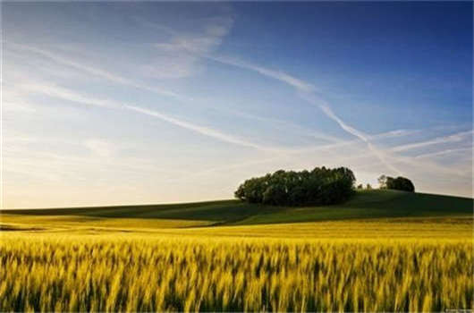 德國留學費用要多少?之后德國護照如何辦理? 德國留學費用要多少?之后德國護照如何辦理?